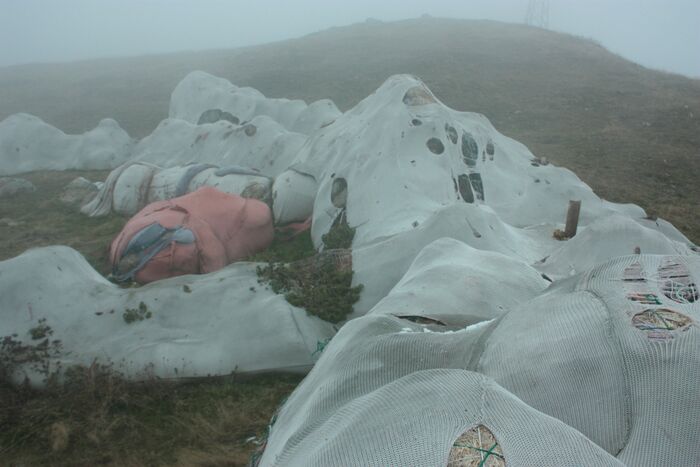 Giant Stuffed Bunny Art