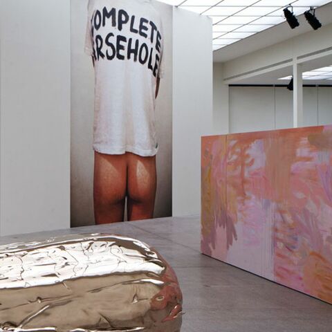 Nob: Sarah Lucas + Gelatin